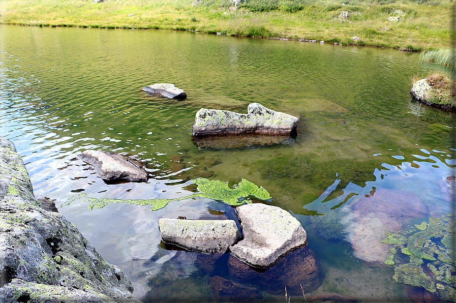 foto Lago di Montalon